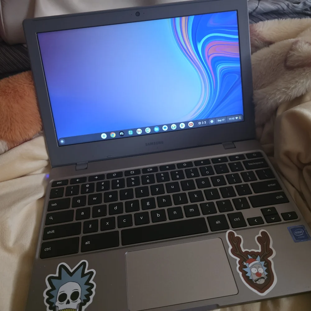 Samsung Silver Chromebook with Custom Stickers